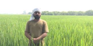 कई सालों से पराली को बिना जलाए गांव छतेआना का किसान कर रहा खेती