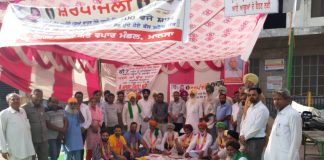 अवारा पशु संघर्ष समिति मानसा का धरना वें दिन भी जारी