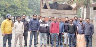 शिवसेना हिंद व गौरक्षा दल के नेताओं ने गौवंश को आजाद करवाया