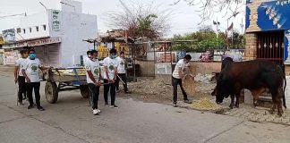 हरियाली ग्रुप पशुओं को डाल रही तूंडी