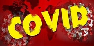 कोविड-19: लॉकडाउन से साफ हो रही हवा, क्या हैं इसके संदेश और संकेत