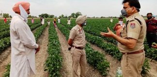 ऐस.ऐस.पी. मानसा की तरफ से किसानों की पंचायत में बैठ कर गेहूँ की खरीद सम्बन्धित प्राप्त किये सुझा