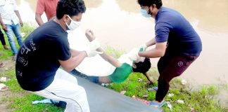 बठिंडा नहर में नवयुवक की लाश मिली