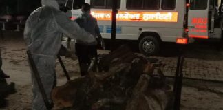 शिक्षा विभाग पर छाया कोरोना का संकट, पांच अध्यापक सहित आठ संक्रमित