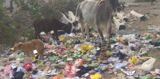 स्वच्छ भारत की रैंकिंग में पिछड़ने पर भी नहीं लिया नगर निगम बठिंडा के अफ़सर/अधिकारीयों ने सबक
