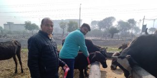 आसरा की और से चलायी जा रही रोड सेफ्टी मुहीम की
