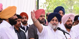 शिअद-बसपा ने आम आदमी पार्टी के कुशासन का एक साल पूरा होने पर धरने दिए