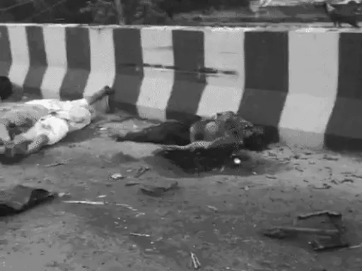 सड़क किनारे खड़ी थी बस, ट्रक ने पीछे से टक्कर मारी और लोगों को कुचलता चला गया