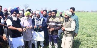सरदार सुखबीर सिंह बादल ने सरकार से मांग की कि सरकार किसानों को तत्काल 25 हजार रूपये प्रति एकड़ की दर से अंतरिम मुआवजा दे